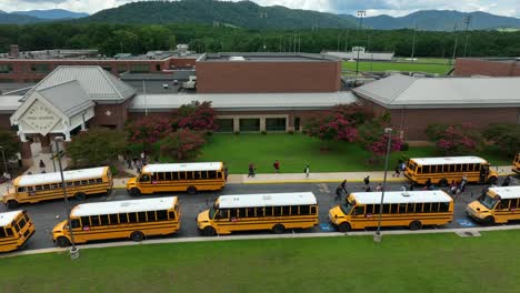 Line-up-of-school-bus