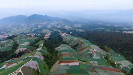Tropical-plantations-in-Indonesia,-fields-rolling-landscape-aerial-panorama