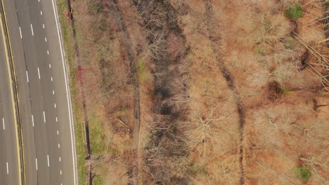 A-drone-view-over-a-quiet-parkway,-with-dry-trees-next-to-it