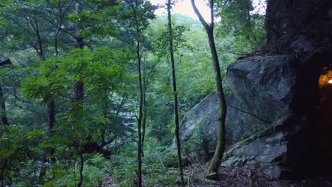 Yakushima-Wald-Und-Wanderweg-Durch-Alte-Eisenbahn-Und-Höhle,-Japan