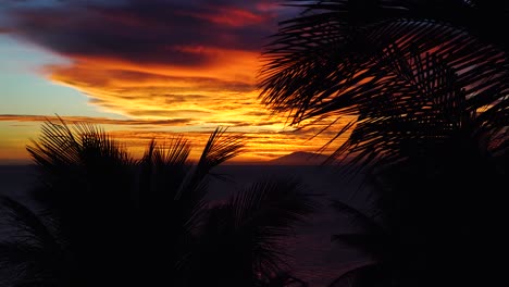 Silhouette-of-waving-palm-tree-leaves-in-front-of-red-fired-sky-during-sunset
