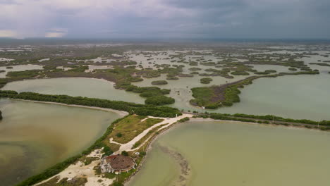 View-of-Mangrove-near-Merida-in-Mexico