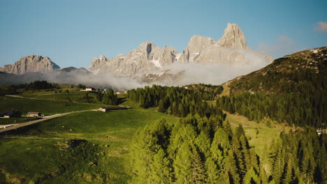Idyllic-aerial-flight-over-green-pine-trees-and-Pale-di-San-Martino-Dolomites-in-background