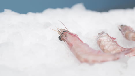 Close-Up-Of-Shrimps-Frozen-In-Ice---sideways,-slow-motion