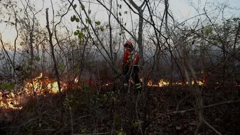 Feuerwehrfrau-Setzt-Ein-Gebläse-Ein,-Um-Einen-Flächenbrand-In-Der-Brasilianischen-Savanne-Zurückzudrängen