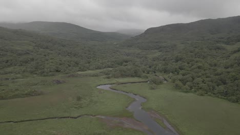 Grüne,-üppige-Vegetation-Im-Killarney-Nationalpark-Mit-Fluss,-Der-In-Der-Nähe-Von-Gap-Of-Dunloe-In-Der-Grafschaft-Kerry,-Irland,-Fließt