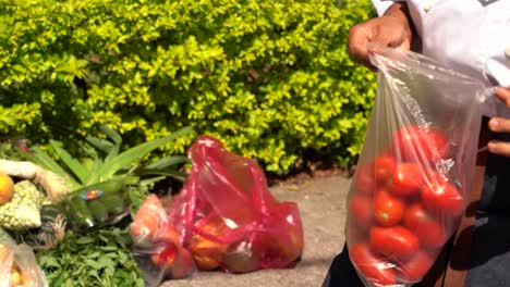 Frau-Kauft-Tomaten-Auf-Der-Straße