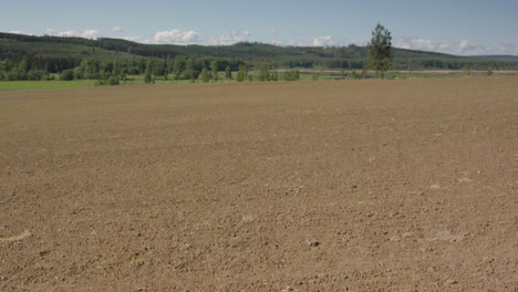 2-MONTH-TIMELAPSE-PAN-R2L-from-dry-soil-to-lush-green-pea-and-oat-crops