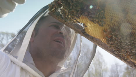BEEKEEPING---Beekeeper-inspecting-a-frame,-low-angle-close-up-in-slow-motion