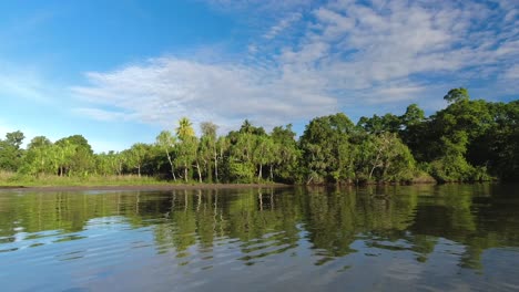 Panoramaaufnahme-Einer-Insel-Voller-üppiger-Vegetation,-Papua-Neuguinea
