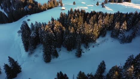 Aerial-top-view-of-snowy-forest-and-winter-in-mountains-and-famous-winter-ski-resort-aerial-view