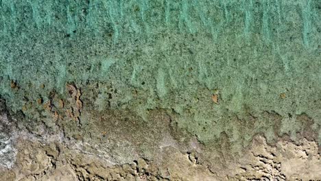 Malerisches-Riff-Unter-Kristallklarem-Meer-Auf-Den-Bahamas