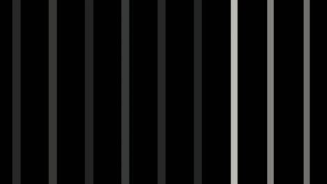 Grayscale-bars-appearing-over-dark-background