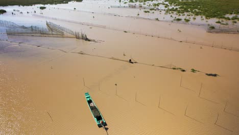 Aerial-drone-fly-over-of-fisherman-walks-in-shallow-muddy-water-to-fix-netting-on-his-arrow-headed-fishing-trap-on-the-Tonle-Sap,-the-largest-fresh-water-lake-in-South-East-Asia
