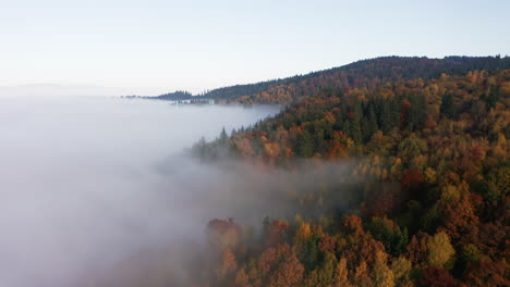 Neblige-Wolken-Bedecken-Im-Herbst-Die-Bunten-Baumwipfel-Des-Waldberges