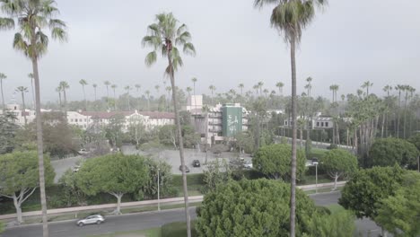 Rising-aerial,-Beverly-Hills-hotel-between-palm-trees,-early-morning-fog