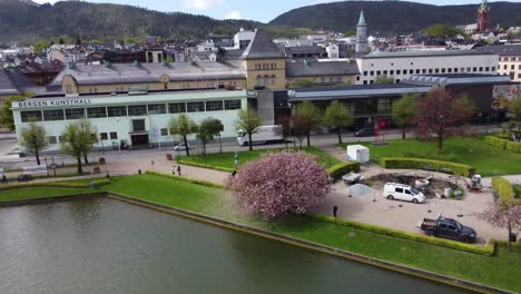 Wunderschöne-Rotierende-Drohnenaufnahme-Eines-Rosa-Blühenden-Kirschbaums-Und-Von-Menschen,-Die-Im-Stadtpark-Von-Bergen-Spazieren-Gehen---Luftaufnahmen-Von-Bergen,-Norwegen