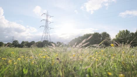 slider-shot-of-power-lines-electric-pylon-on-a-sunny-day-green-field-with-buttercups