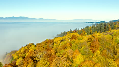 Lufthyperlapse-Von-Nebel,-Der-In-Herbstlicher-Farbe-Um-Den-Bergwald-Rollt