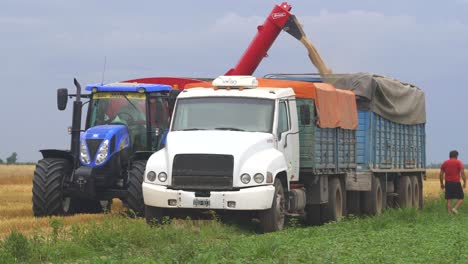 A-farmer-inside-a-tractor-transfers-wheat-from-a-grain-wagon-onto-a-trailer-for-transportation