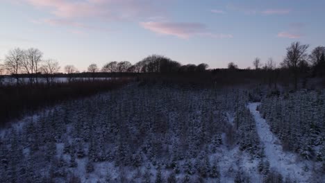 Drohnenansicht-Von-Verschneiten-Feldern-Und-Bäumen-In-Dänemark,-Skandinavien---Dolly-Aufnahme