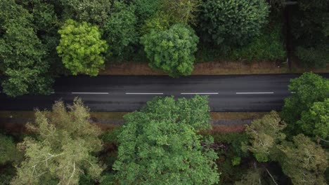 Static-aerial-birdseye-view-of-cars-driving-through-a-densely-wooded-forest