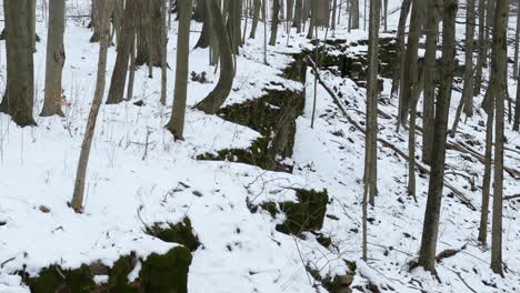 Verschneite-Niagara-Böschung-Mit-Gewachsenen-Bäumen-Im-Wald-Im-Winter