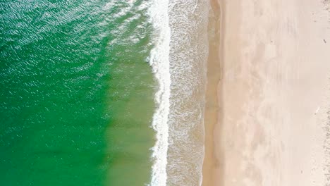 Vibrant-green-tropical-color-ocean-and-sandy-beach,-aerial-top-down-view