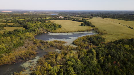 Abgelegener-Teich,-Umgeben-Von-Feldern-Und-Bäumen-Im-Ländlichen-Missouri,-USA