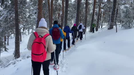 Snowshoes-Tour-Expedition-Guide-Leading-Line-Of-Hikers-In-Snowy-Forest