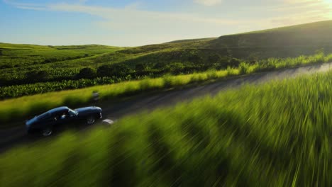 Mustang-Driving-Through-Sunset-Sugar-Cane-Field
