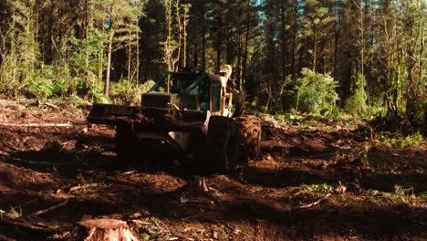 Skidder-driving-on-muddy-forest-floor-collecting-freshly-cut-pine-tree-trunk
