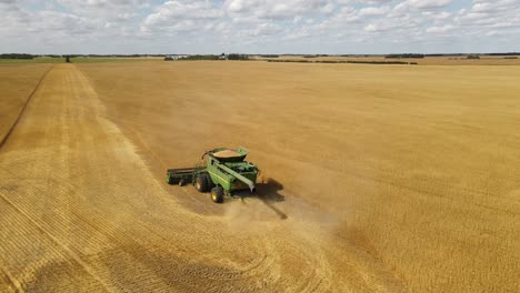 Combine-harvester-working-in-a-massive-crop-of-golden-wheat-on-a-rural-farm