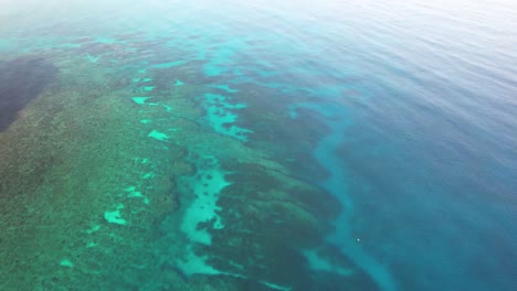 Luftaufnahme-Des-Korallenriffs-Und-Der-Küste-In-Der-Karibik