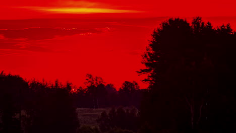 View-of-rising-sun-over-the-red-sky-from-behind-dense-trees-forest-in-timelapse-during-early-morning