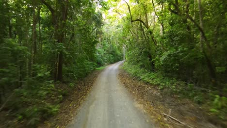 Drone-view-speeding-on-a-dirt-road-in-a-tropical-forest-in-the-Osa-Peninsula,-Costa-Rica
