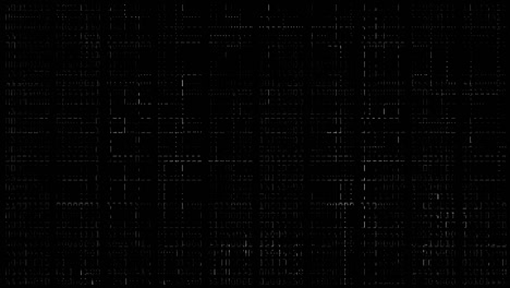 Schwarz-weißer-Computergenerierter-Hintergrund-Des-Konzepts-Der-Programmiersprache-Für-Binäre-Zahlen