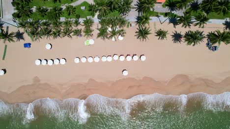 aerial-top-down-view-of-the-coastline-in-Nha-Trang-Vietnam-looking-down-on-the-ocean-waves-crashing-on-the-white-sand-beach-and-white-beach-umbrellas-setup-for-tourists-right-next-to-a-park
