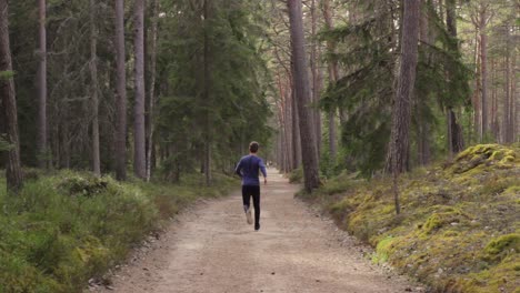 Brave-lonely-man-walks-and-starts-to-run-deep-into-forest-on-gravel-road