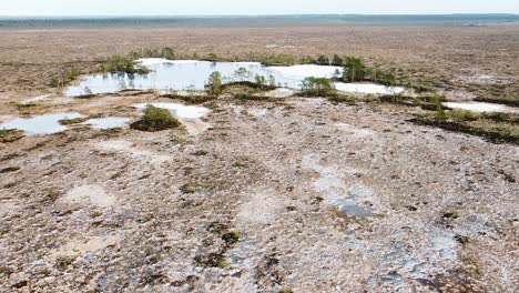 Rising-aerial-drone-view-of-a-group-of-frozen-bog-lakes-in-the-middle-of-a-barren-landscape