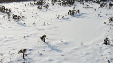 Aerial-drone-view-on-a-snow-covered-bog-landscape