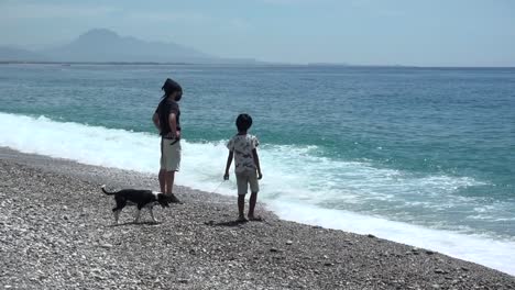 A-man,-a-child,-and-a-dog-admiring-the-ocean-view-from-the-seashore