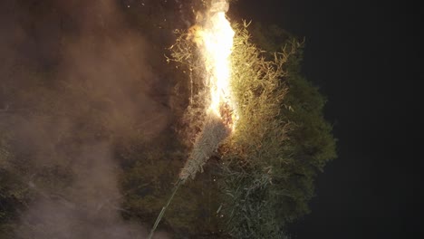 Bamboo-Pyre-being-lit-on-fire-at-Hachiman-Matsuri-event-in-Omihachiman,-Japan