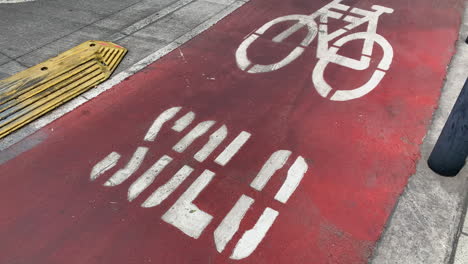 Señal-De-Bicicleta-En-El-Pavimento-Rojo-Junto-A-La-Fila-De-Bolardos-En-La-Ciudad-De-México