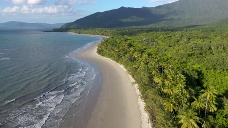 Cape-Tribulation-aerial-of-sunny-Myall-beach-with-palm-trees,-in-Daintree-Rainforest,-Queensland,-Australia