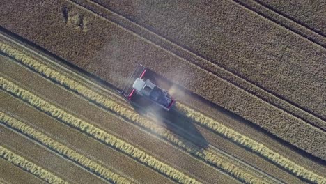 4K-Aerial-Shot-Revealing-Field-With-Combine-Harvesting-Wheat