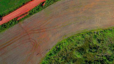 Deforestation-in-the-Brazilian-savannah-to-plant-soybean-crops---aerial-descending-straight-down-view