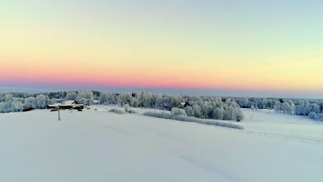 Frost-layered-winter-flora-seasonal-at-magic-hour-aerial