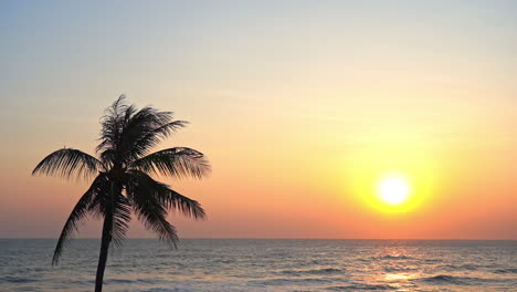 Kokospalmensilhouette-Bei-Goldenem-Sonnenuntergang-über-Dem-Meer