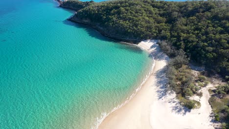 Stunning-turquoise-tropical-water,-empty-white-sand-beach-and-bushland-aerial-over-Great-Keppel-Island,-Yeppoon,-Queensland